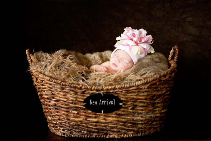 Baby Photography