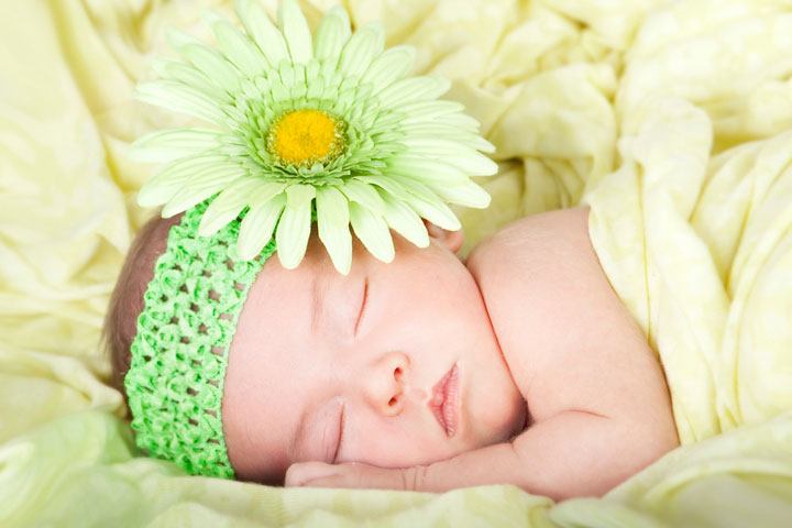 Baby Photography